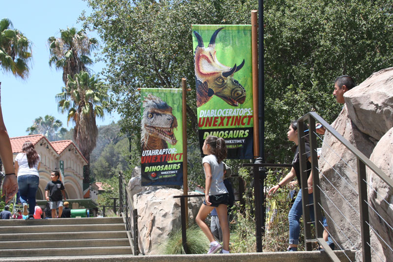 tanglewood preserve dinosaur exhibit